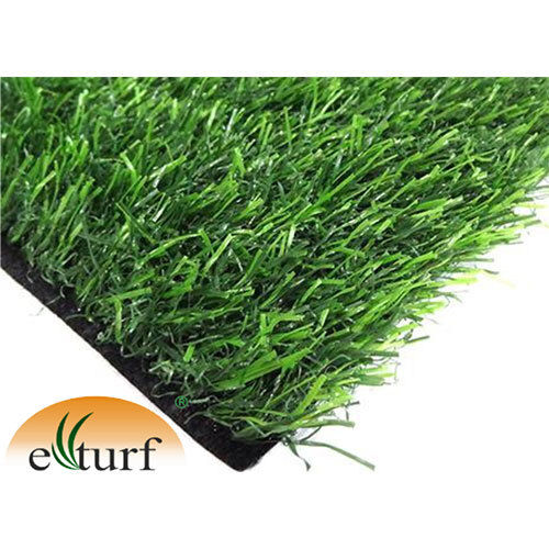 Sports Grass