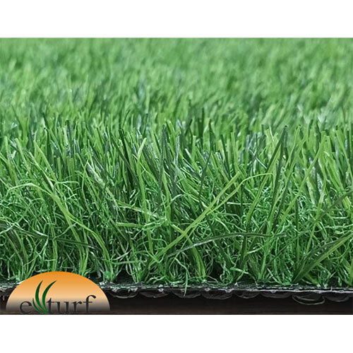 Sports Grass