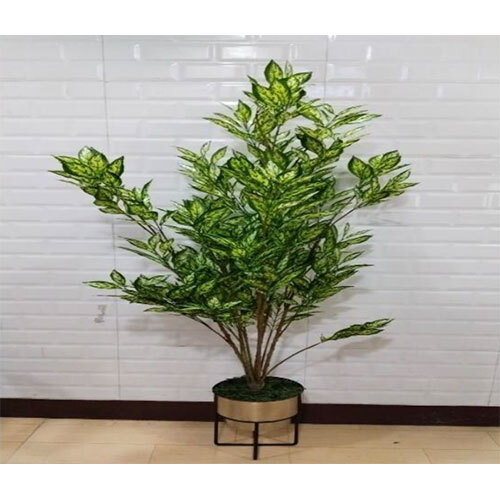 XPS-PLT-108 150 CM CALATHEA GREEN WHITE