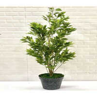 XPS-PLT-37 150   NH637 G-Y