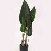 Xps-plt-165 105 Cm Bop X10 Lvs With Pot