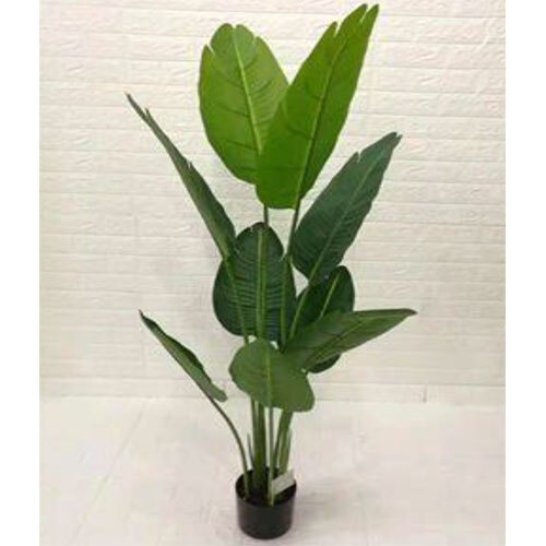 XPS-PLT-169 170CM BANANA WITH POT