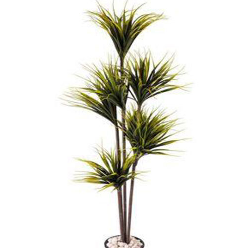 XPS-PLT-077 180 CM YUCCA WITHOUT POT