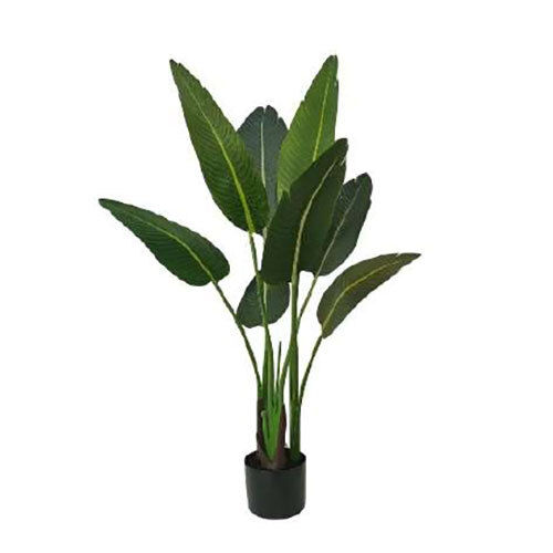 XPS-PLT-154 1.2m 8 Leaves Traveller Palm Tree in Pot