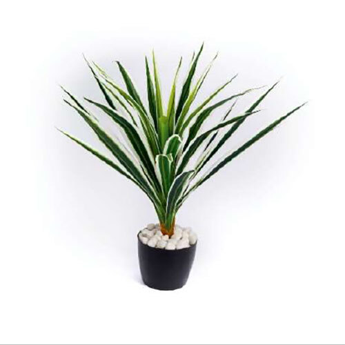 XPS-PLT-015 Real Touch Vericated Dracenna Leaves Plant