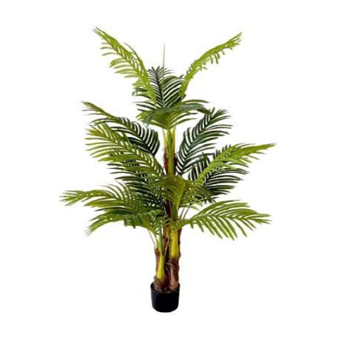 XPS-PLT-140  1.5m 3 Stem 15 Coir Palm  Plant In Pot