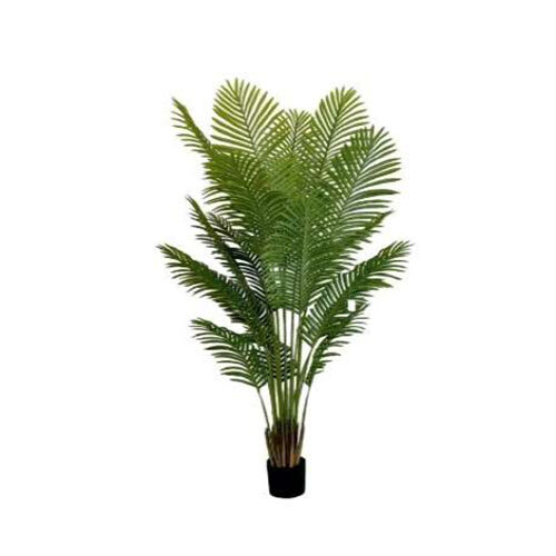 XPS-PLT-129  1.8m 18 Leaves Areca Palm  Plant In Pot