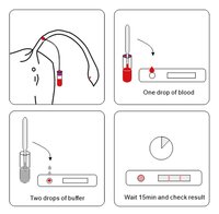 Bovine Pregnancy Rapid Test Kit