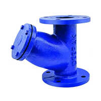 2inch Cast Iron Y Type Strainer - Color: Blue