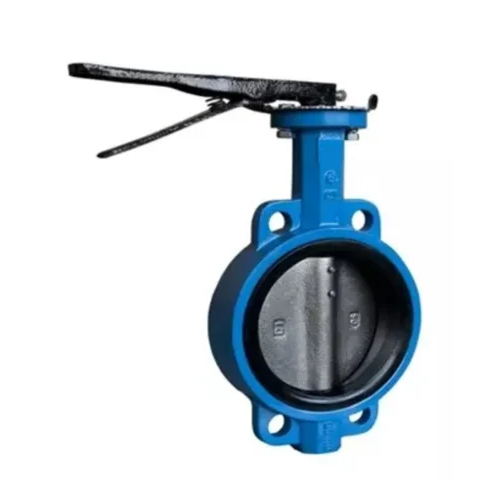 1inch SS Disk Butterfly Valves