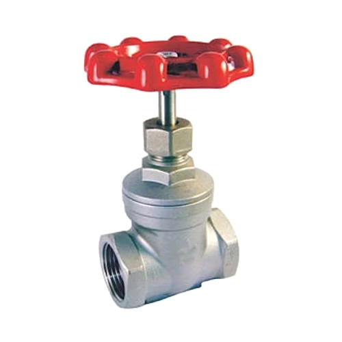 2 1-2inch CI Gate Valve