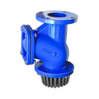 2inch Cast Iron Foot Valve - Color: Blue