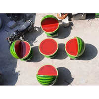 Fiberglass Watermelon Chair Set