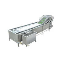 Fruit And Vegetable Washer Capacity: 300 Kg/hr