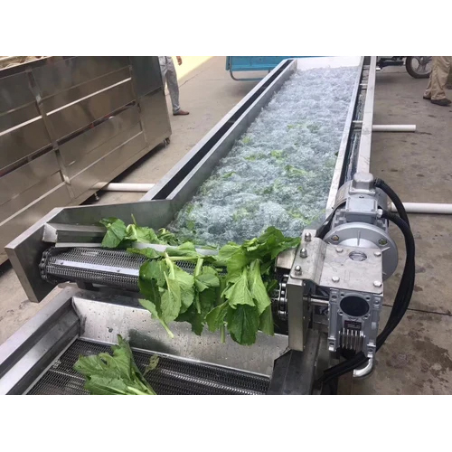 Industrial Vegetable Processing Plant