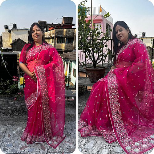 Organza Cotton Thread Embroidery Saree