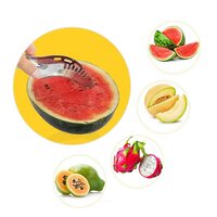 STAINLESS STEEL WATERMELON CANTALOUPE SLICER KNIFE