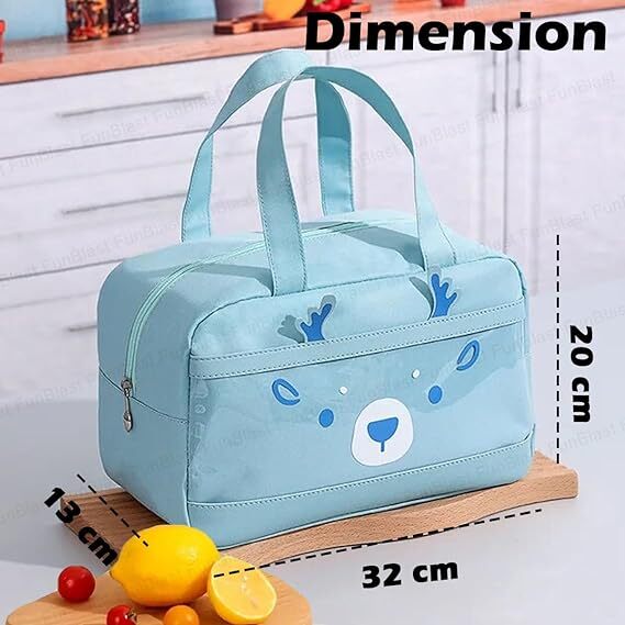 FunBlast Lunch Bag  Rectangle Shaped Multi-Purpose Insulated Travel Lunch Bag for Office, Lunch Box Carrying Bag for Women/Men/Tiffin/Storage Bag for Lunch Box, Tiffin Bag (Sky Blue)