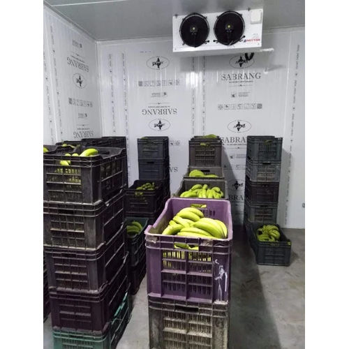 Gi Fruit Ripening Cold Storage Room