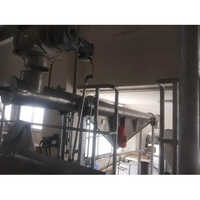 Ss Vibro Conveyor - Roller Type, Stainless Steel Material | Warranty Included, Durable Design