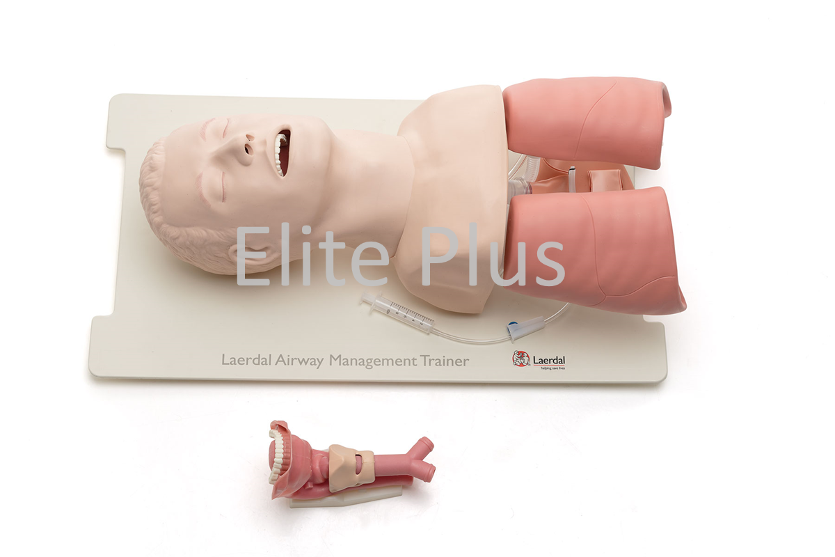 Airway Management Trainer