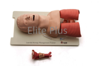 Airway Management Trainer