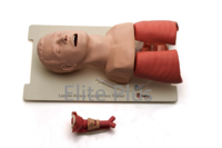 Airway Management Trainer