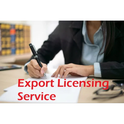 Export Licensing Service By Naina Techsol Pvt. Ltd.