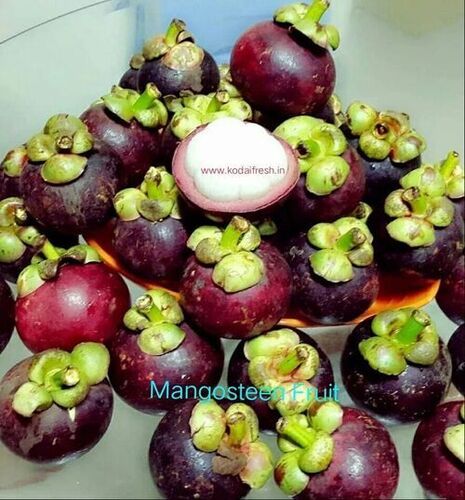 Mangosteen Fruit