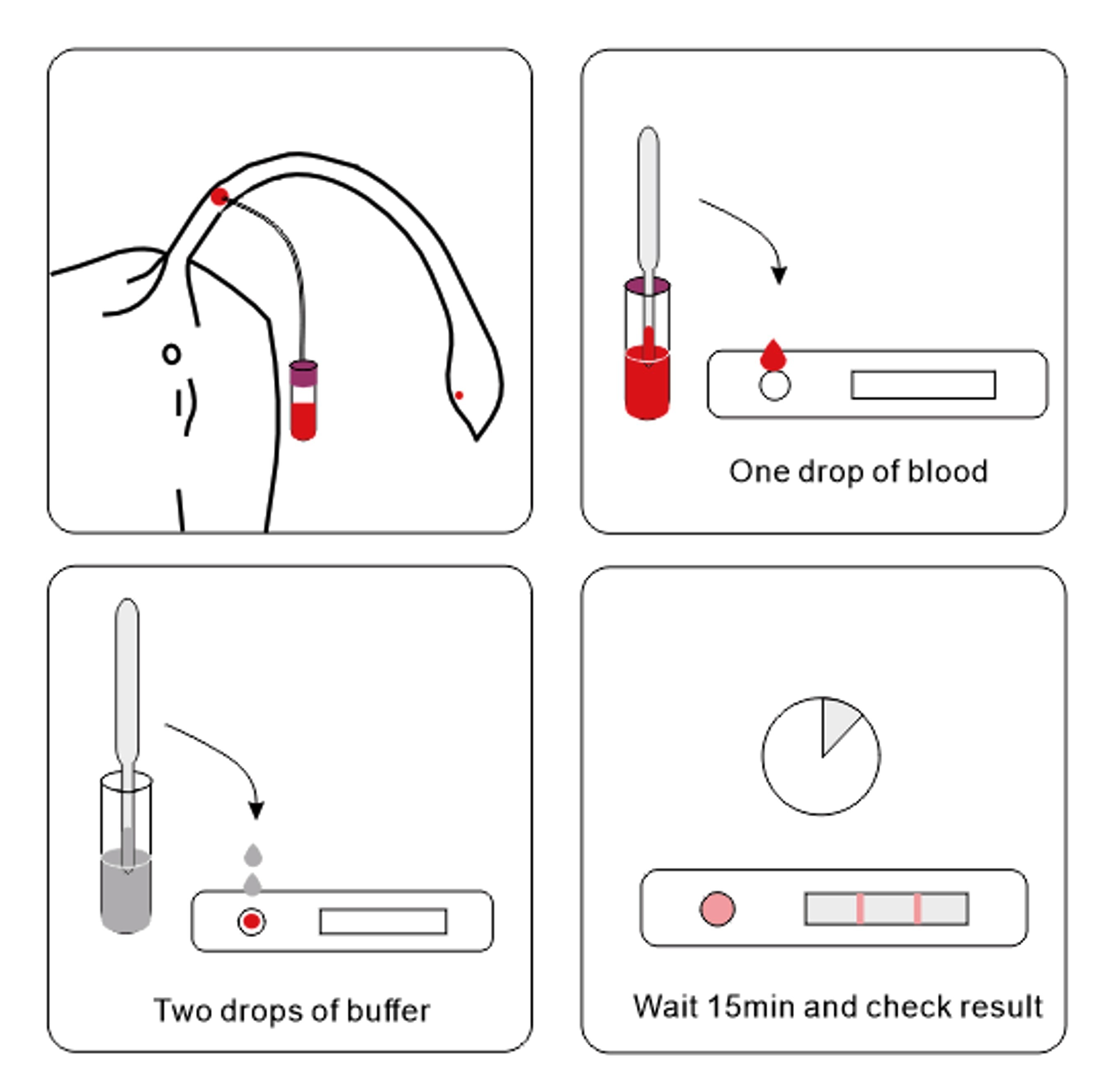 Buffalo Brucella Rapid Test Kit