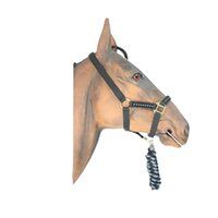 Horse Nylon Head Collar