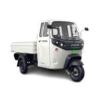 Euler HiLoad PV Electric Cargo Loader