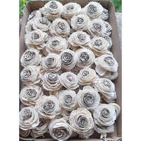 Sola Rose Flower