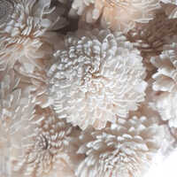 Zinnia Sola wood flowers