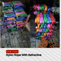 Dog Reflective Nylon Rope