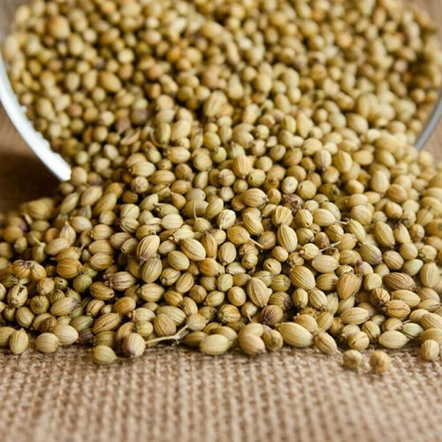 Common Coriander Seeds