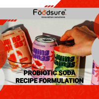 Probiotic Soda Recipe Formulation