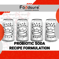 Probiotic Soda Recipe Formulation