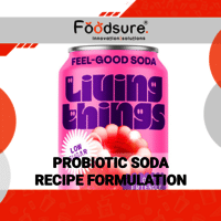 Probiotic Soda Recipe Formulation