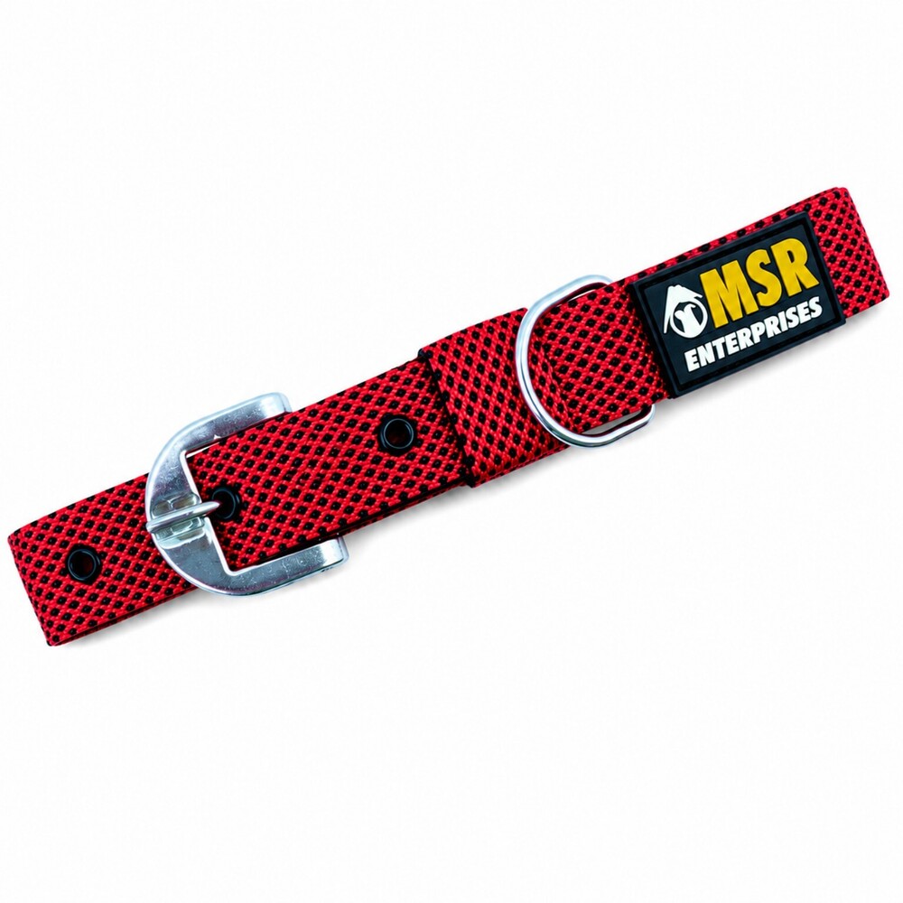 Dog Collar  Dotted