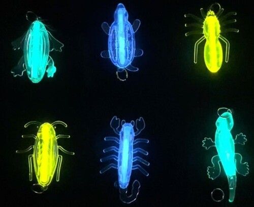 Glow Toy Insects Age Group: 3-4 Yrs