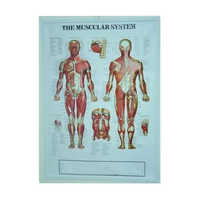 Vacuum Formed Embossed Posters - Durable Plastic Material, Various Sizes Available, Any Color Choice | Lightweight, Eye-catching Display Solution
