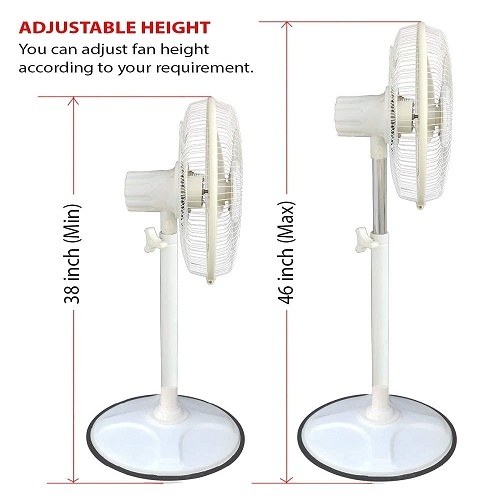 Pedestal Fan