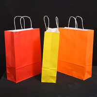 Plain Paper Colorful Gift Bag - Coated Paper, Customizable Size And Designs, Embossed Texture With Rope Handle, Available In Multiple Colors