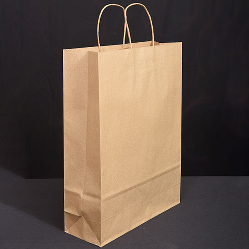 Brown Plain Paper Carry Bag