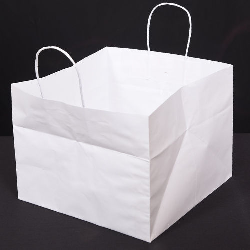 White Paper Carry Bag