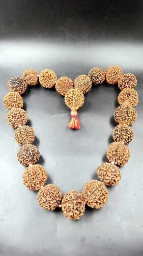 Natural Papua 5 Mukhi Rudraksha 21+1 Beads Mala