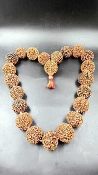 Natural Papua 5 Mukhi Rudraksha 21+1 Beads Mala - Occasion: Religious