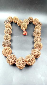 Natural Papua 5 Mukhi Rudraksha 21+1 Beads Mala