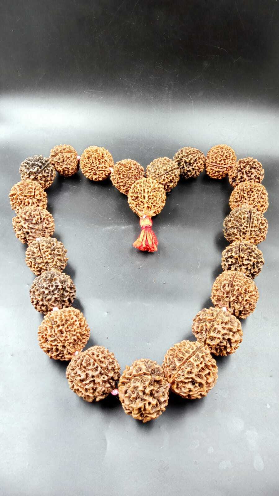 Natural Papua 5 Mukhi Rudraksha 21+1 Beads Mala